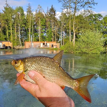 Cedar Boutique Lodge-Dog Fishing And Spa Access York Exteriör bild