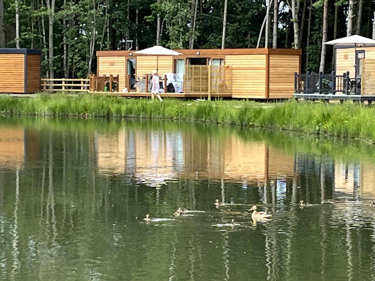 Cedar Boutique Lodge-Dog Fishing And Spa Access York Exteriör bild